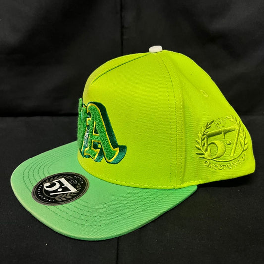 VAGANCIA VA LOGO PELUCHE 5.7