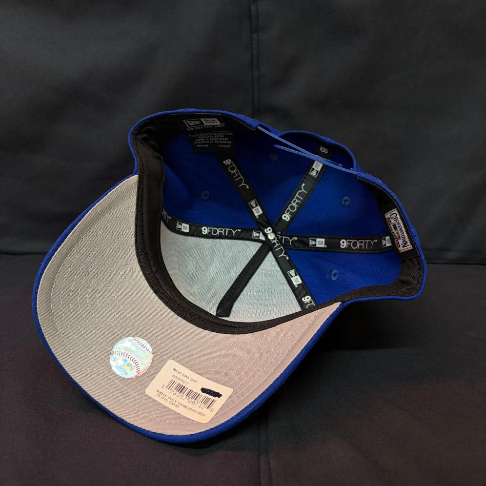 CHICAGO CUBS AZUL CURVA NEW ERA