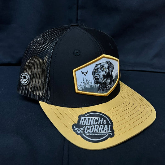 LABRADOR AMARILLO Y NEGRO RANCH AND CORRAL