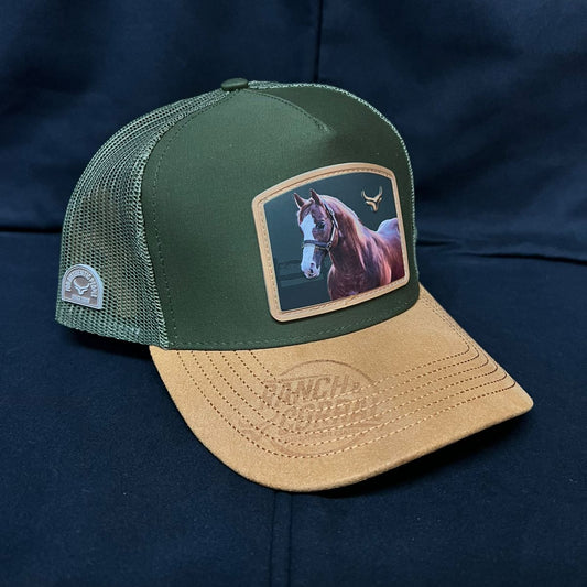 EQUINO VERDE Y MARRON CON GAMUZA RANCH AND CORRAL