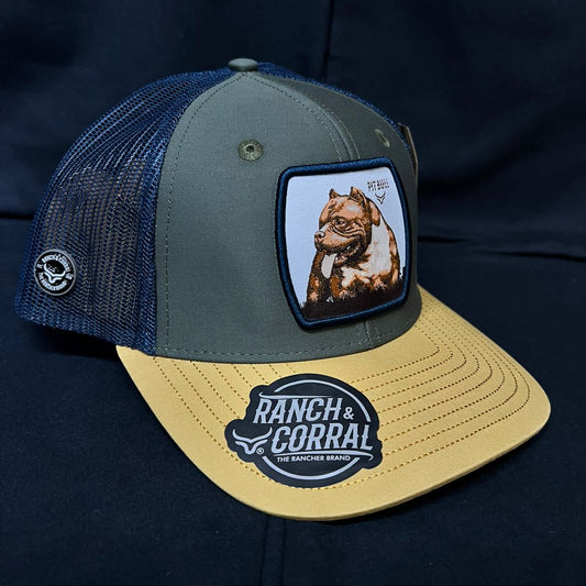 PITBULL GRIS Y AMARILLA RANCH AND CORRAL