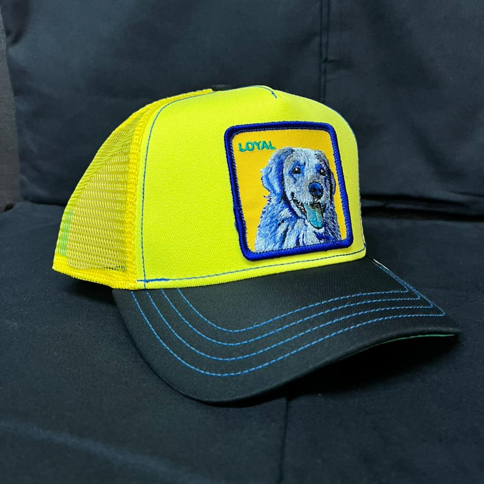 LOYAL PERRO AMARILLO GOORIN BROS