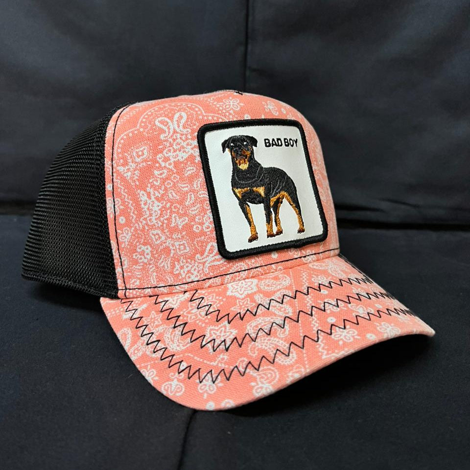 BAD BOY ROTTWEILER ROSA GOORIN BROS