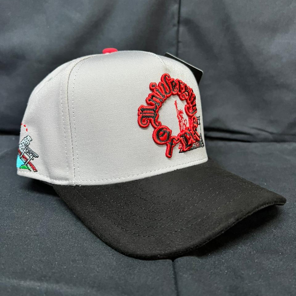 UNIVERSITY OF LIFE GRIS CURVA JC HATS
