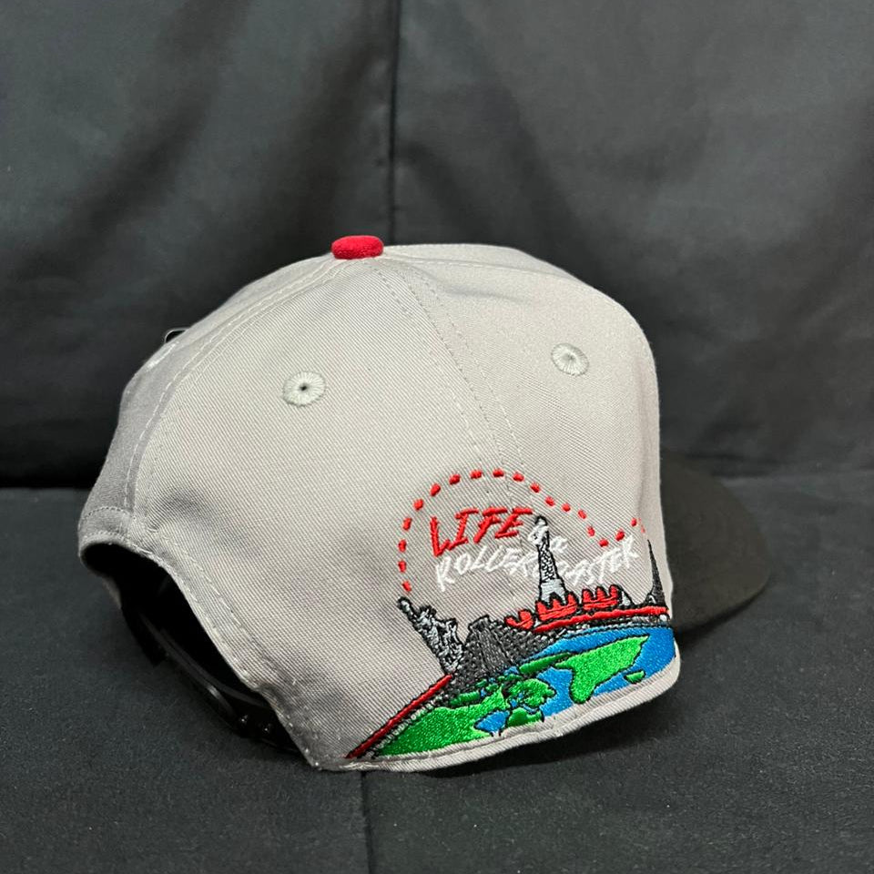 UNIVERSITY OF LIFE GRIS CURVA JC HATS