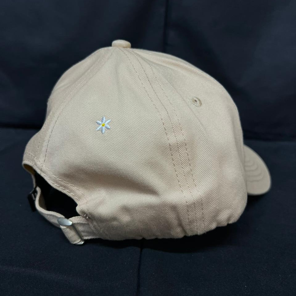 COLECCIÓN DE MUJER BEIGE CON CERTIFICADO CURVA JC HATS